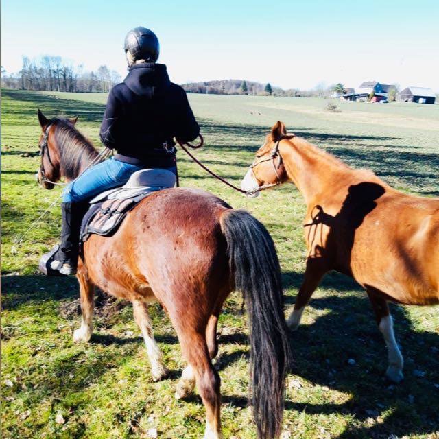 Was bedeutet Reiten für mich